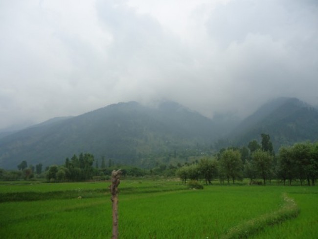 Kashmir Valley Tours